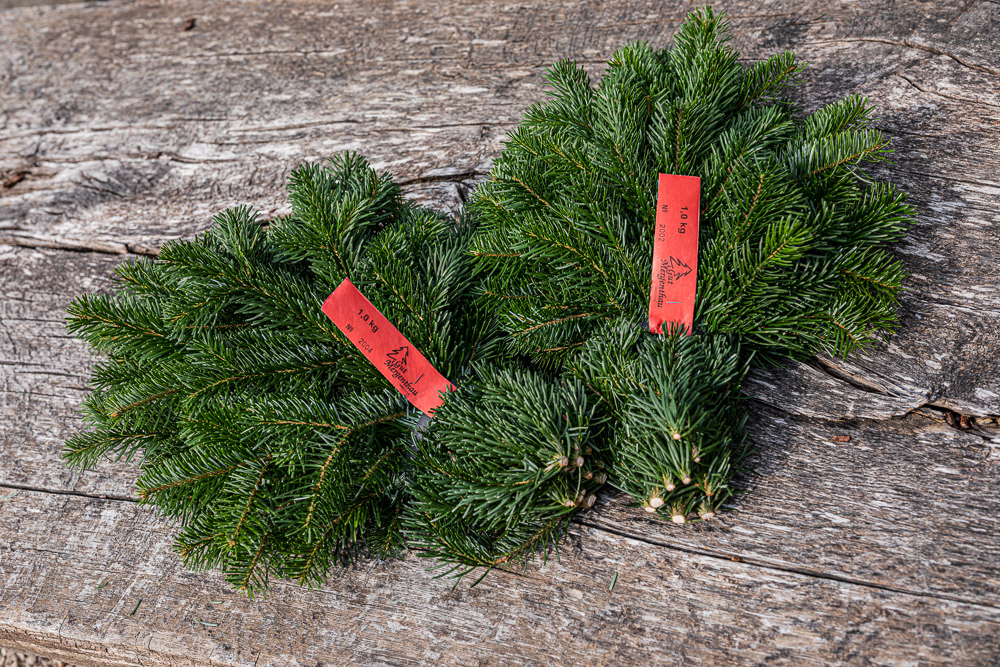 bio-christbaum-0011