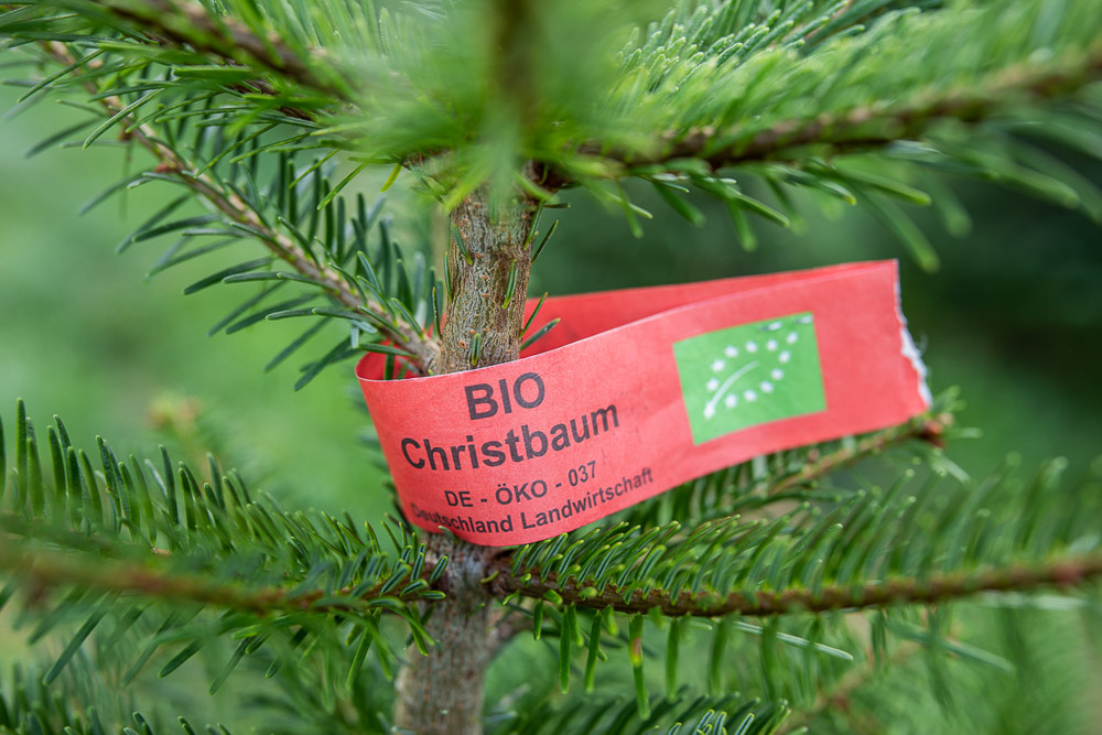 bio-christbaum-0019